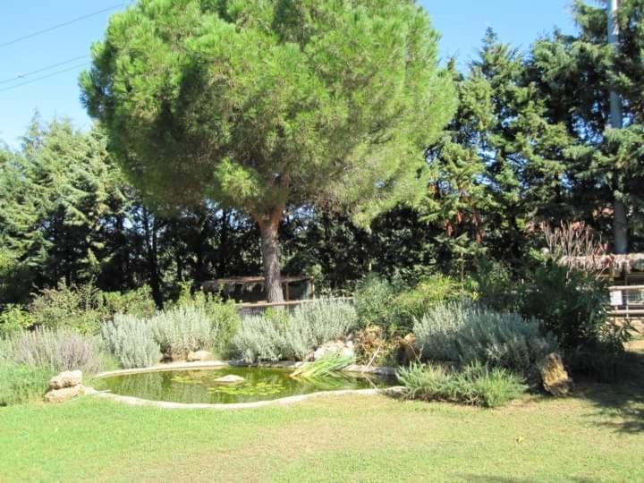 Vila Parco Delle Streghe Scarlino Exteriér fotografie